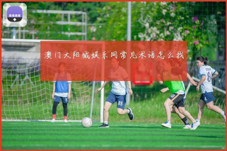 澳门大阳城娱乐网常见术语怎么找
