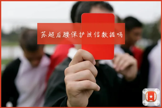苏超后腰保护该信数据吗